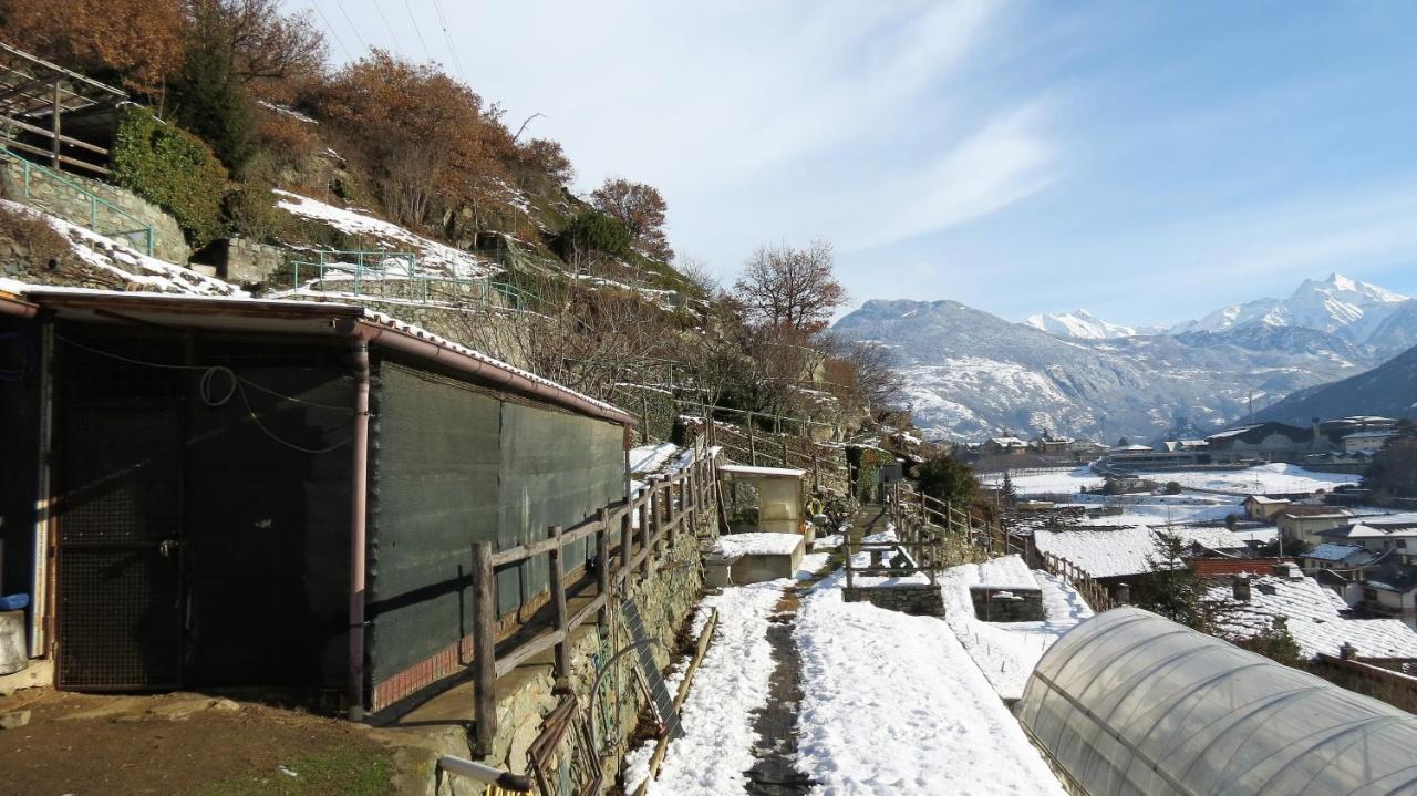 Apartamento Lo Gnomo Sotto Al Glicine Châtillon Exterior foto